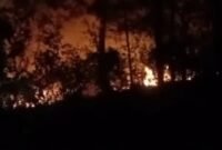 Kebakaran hutan dan lahan (karhutla) terjadi di empat lokasi lain di Kabupaten Semarang. (Instagram.com/@bpbd.ungaran) 
