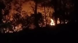 Kebakaran hutan dan lahan (karhutla) terjadi di empat lokasi lain di Kabupaten Semarang. (Instagram.com/@bpbd.ungaran)
