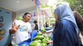 Ketua Klaster Pusat Pemasaran dan Edukasi Budidaya Alpukat (Pusbikat) di Desa Baran Gembongan, Semarang, Agus Riyadi. (Dok. BRI)