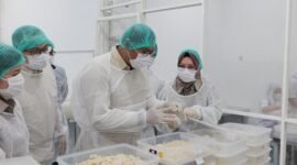 Wakil Menteri Pertanian (Wamentan), Sudaryono saat meninjau Processing Bird House di PT Surya Aviesta, Surabaya, Jawa Timur. (Dok. Kementerian Pertanian)