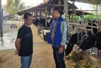 Tommy Wavolta sukses bangun Dara Farm berkat KUR BRI. Produksi pakan ternak capai 15 ton per bulan, pasok hingga luar daerah. (Dok. BRI)