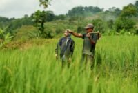 Selamat Hari Tani Nasional! BRI bangga menjadi mitra strategis petani Indonesia. Kami akan terus dukung sektor pertanian melalui berbagai program. (Dok. BRI)