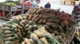 Dari nanas segar jadi produk olahan! Kisah Nanas Nadi buktikan KUR BRI dan digitalisasi bantu UMKM lokal naik kelas dan berdaya. (Dok. BRI)