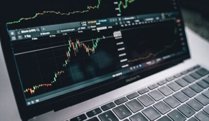 Modal Segar: Membuka Peluang Baru di Tengah Gejolak Ekonomi Global