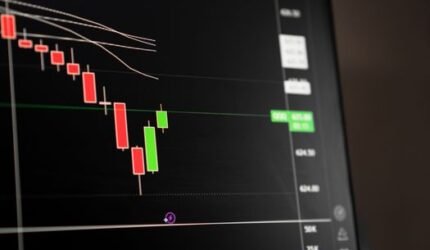 Musim Panen Dividen 2026: Strategi Cerdas Menyambut Durian Runtuh Investor